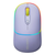 Canyon Wireless  Mouse MW-22 Lavender