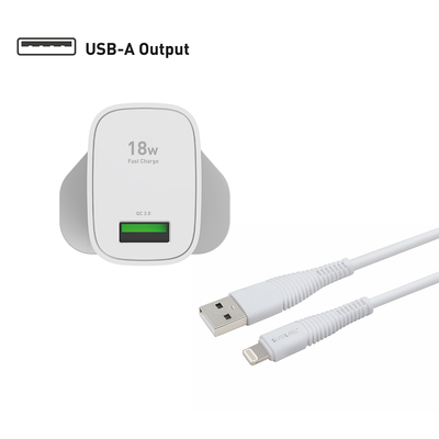 SilverLabel Mains Charger and Lightning Cable Bundle
