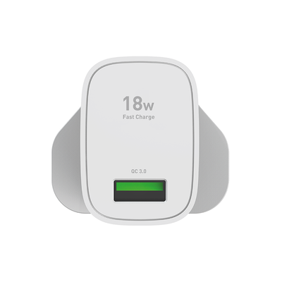 SilverLabel Mains Charger and Lightning Cable Bundle