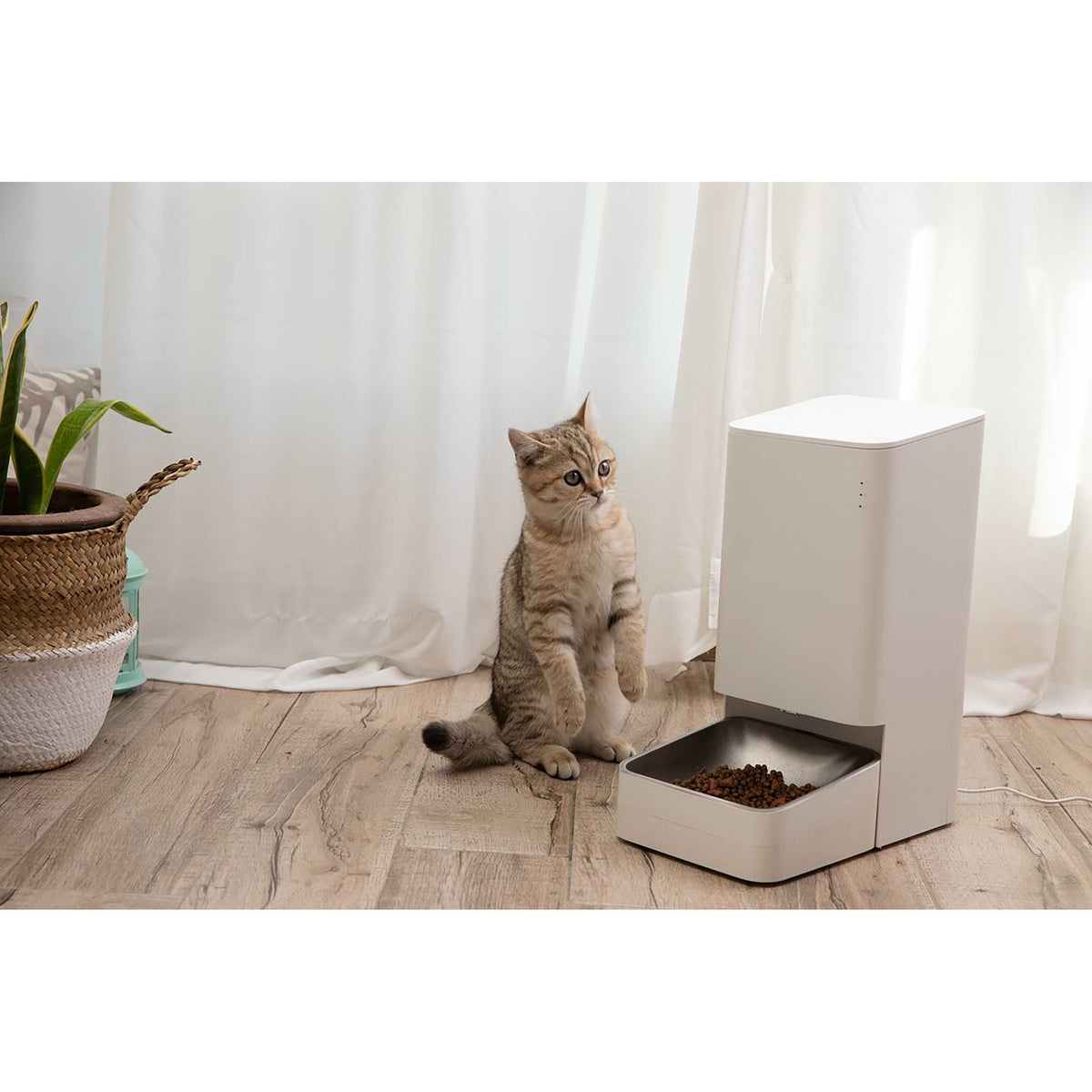 Xiaomi Smart Pet Food Feeder - UK