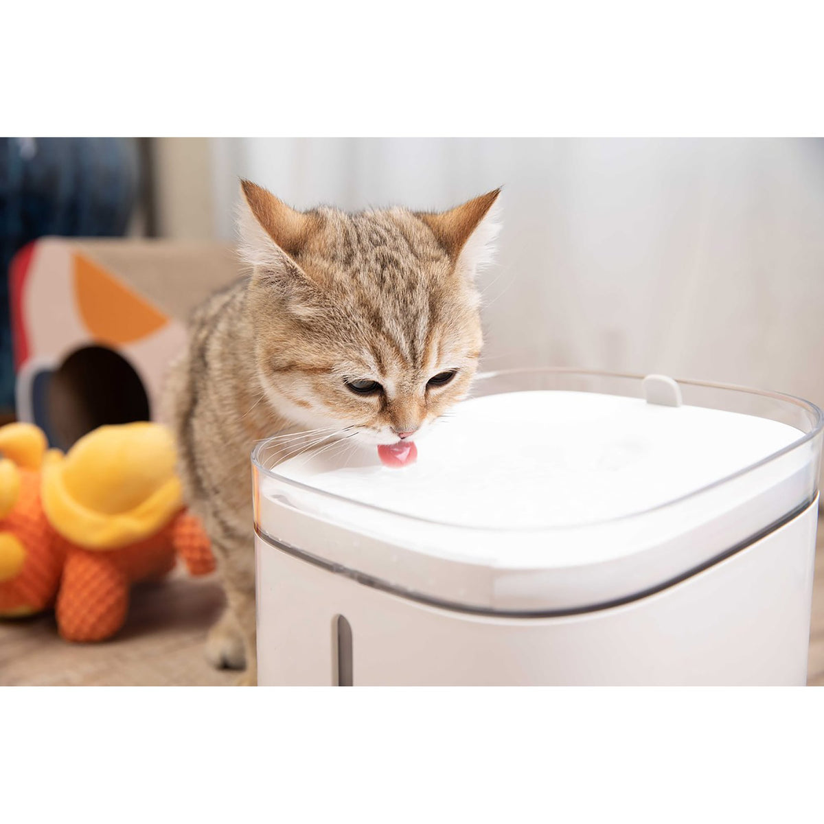 Xiaomi Smart Pet Fountain - UK